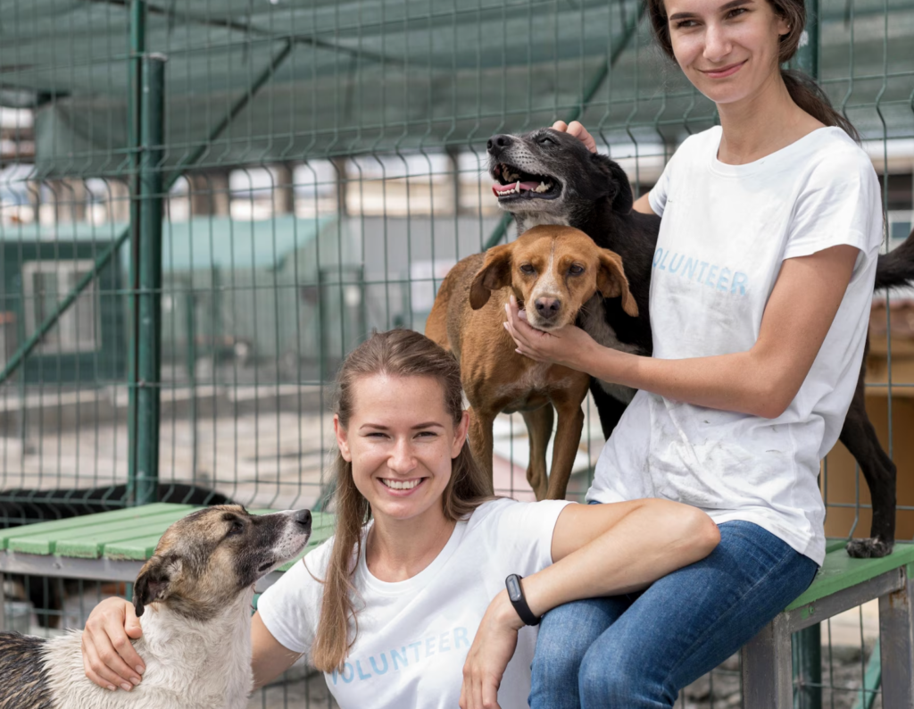 Smiley woman spending time with cute rescue dogs at shelter